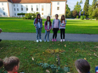 IMG_20230925_170038