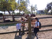 IMG_20230926_104430