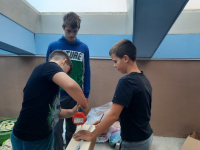 Slika1