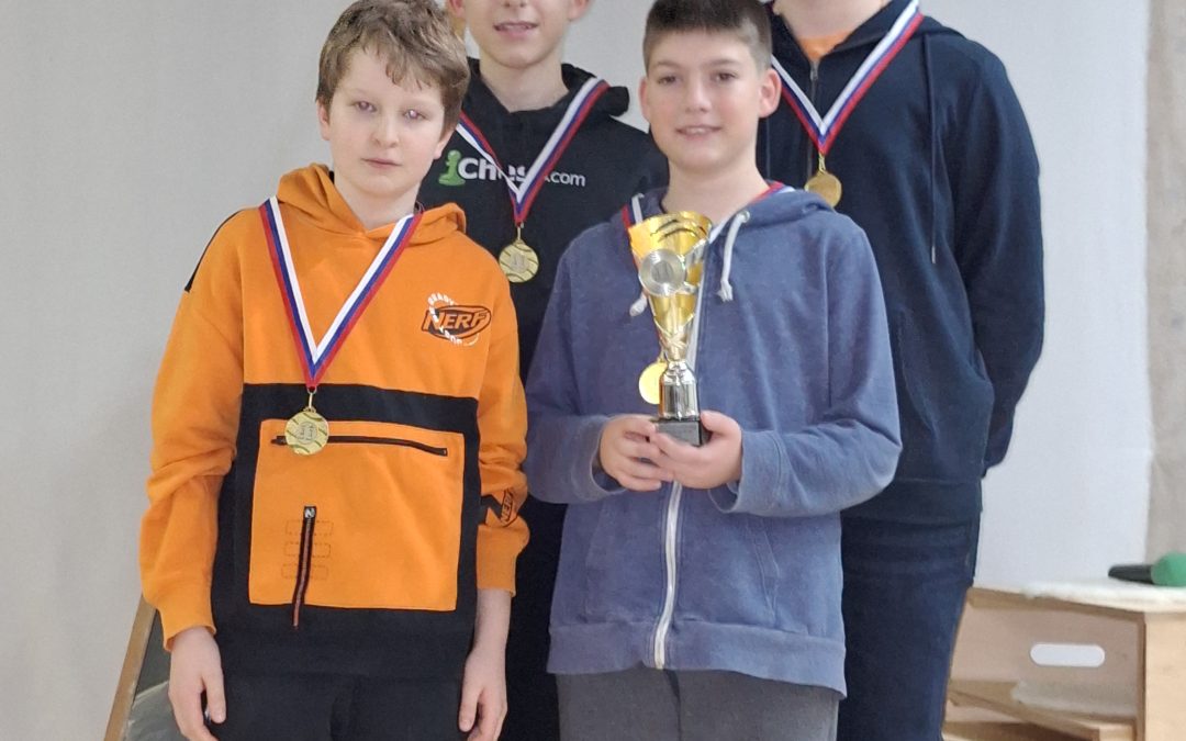 Ekipni področni šahovski prvaki