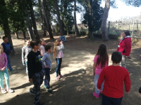 IMG_20220329_133144