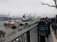3_koper-7