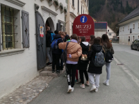 IMG_20230411_101458