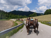 VideoCapture_20230629-165320