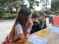 IMG_20230322_151500