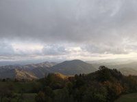 IMG_20231106_161224