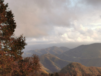 IMG_20231106_162450