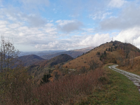 IMG_20231107_094128