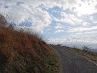 IMG_20231107_100910