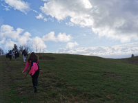 IMG_20231107_102450