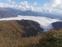 IMG_20231107_110901