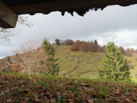 IMG_20231107_112344