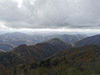 IMG_20231107_123908