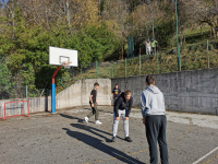 IMG_20231108_095031