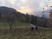 IMG_20231109_162638