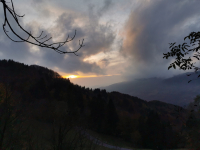 IMG_20231109_162841