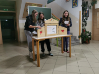 IMG_20231109_192834